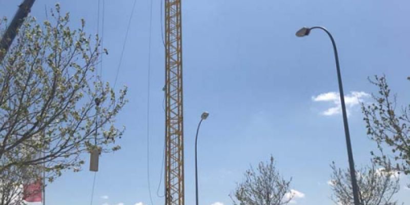 Imágenes de nuestras trabajos con las gruás Diego de León